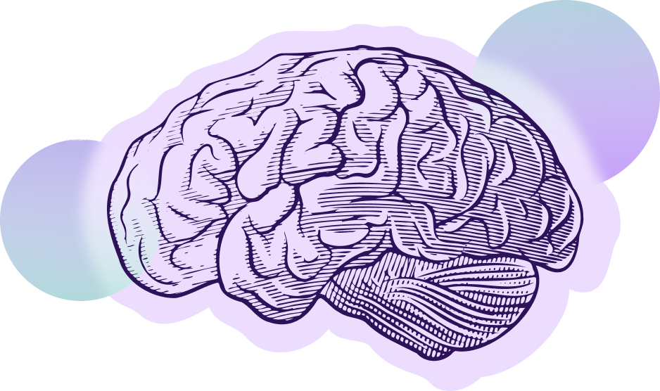 brain illustration