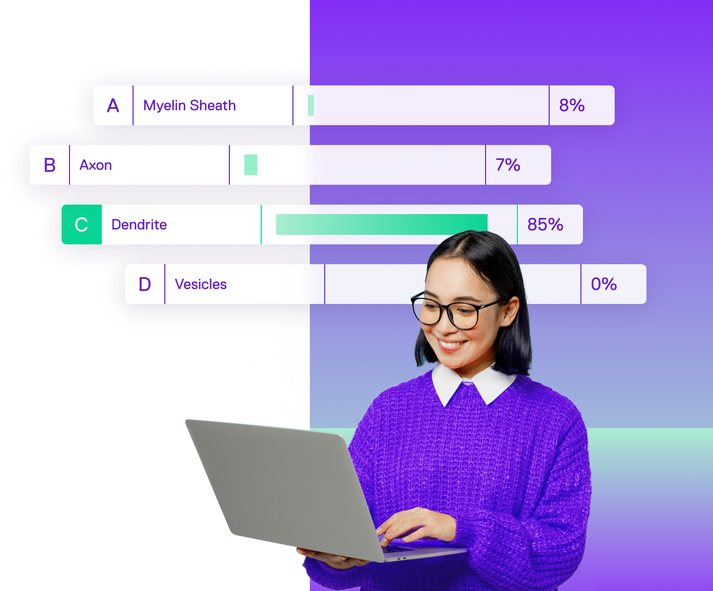 polls and quizzes hero image